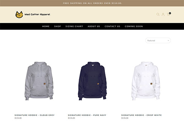 portfolio image 9 - scrren capture of home page